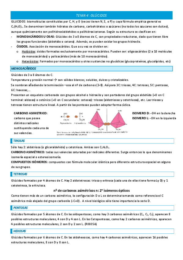 Miniatura del documento TEMA-4-COMPLETO.pdf