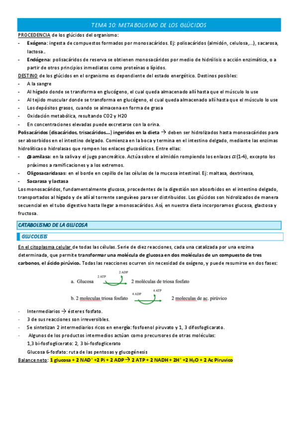 Miniatura del documento TEMA-10-COMPLETO.pdf