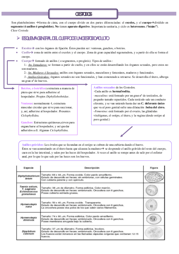 Miniatura del documento T.pdf