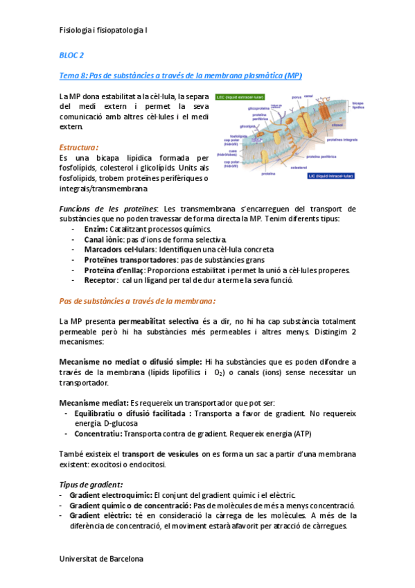 Miniatura del documento APUNTS-parcial-2-.pdf