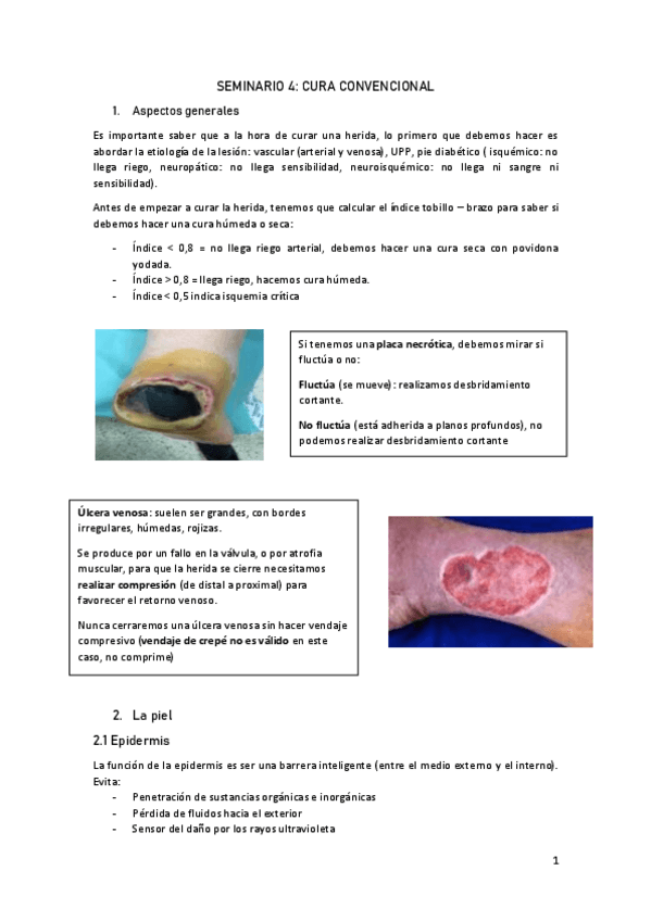 Miniatura del documento Seminario-4.pdf