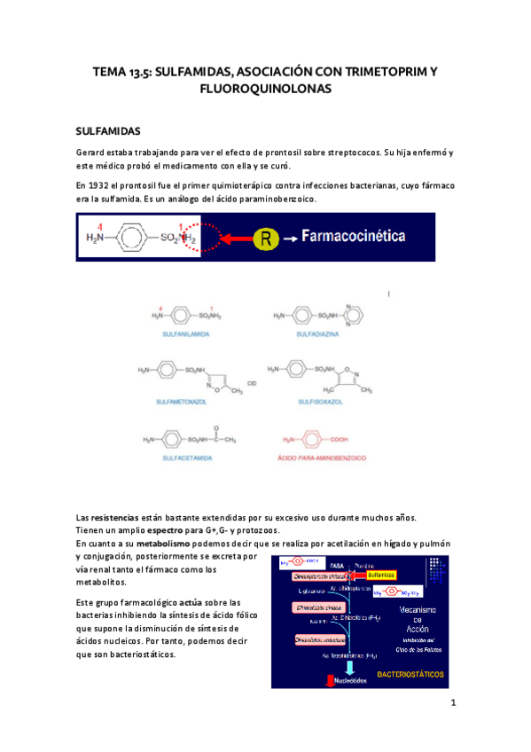 Miniatura del documento TEMA-13.pdf