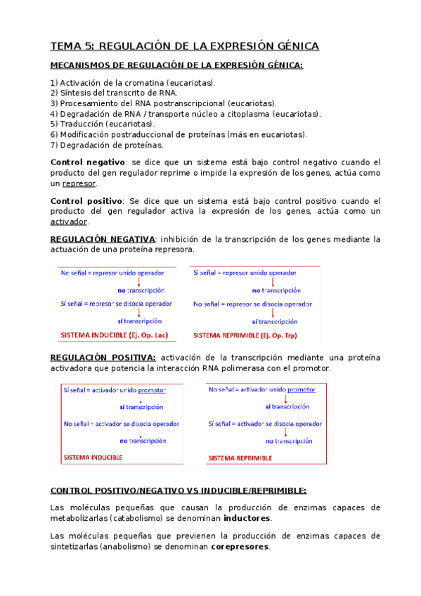 Miniatura del documento T5-Regulacion.docx