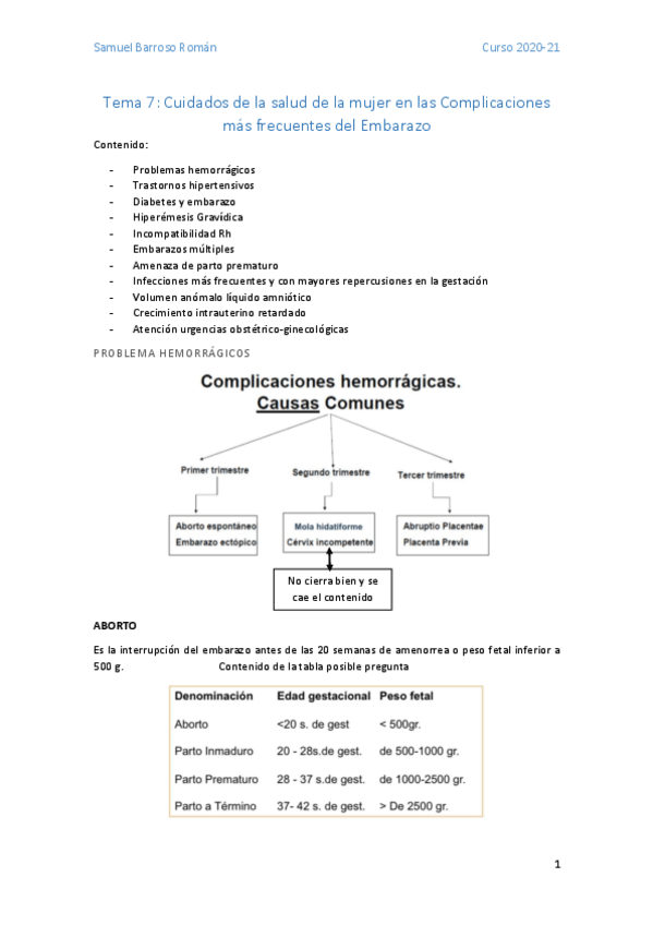 Miniatura del documento TEMA-7-Cuidados-de-la-salud-de-la-mujer-en-las-Complicaciones-mas-frecuentes-del-Embarazo.pdf