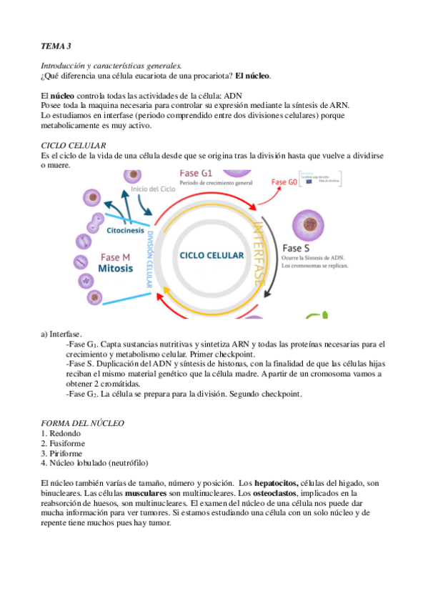 Miniatura del documento t3.pdf