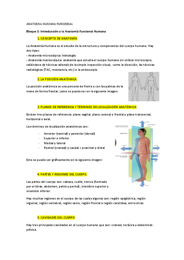 Miniatura del documento Anatomia Temas 1 y 2.pdf