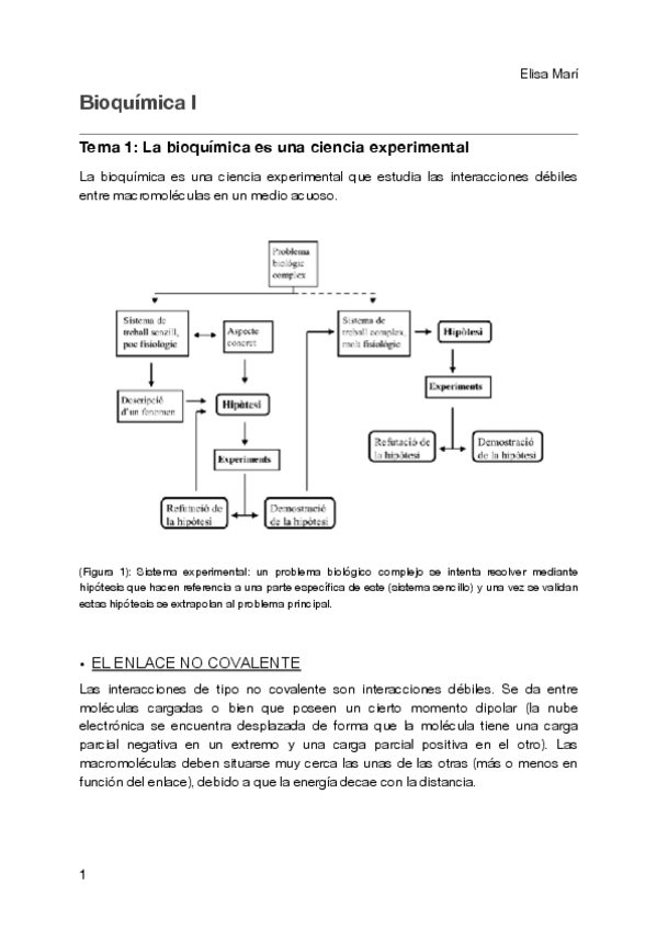Miniatura del documento Apuntes-bioquimica-Elisa.pdf