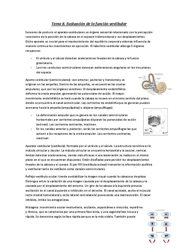 Miniatura del documento Tema-8.pdf