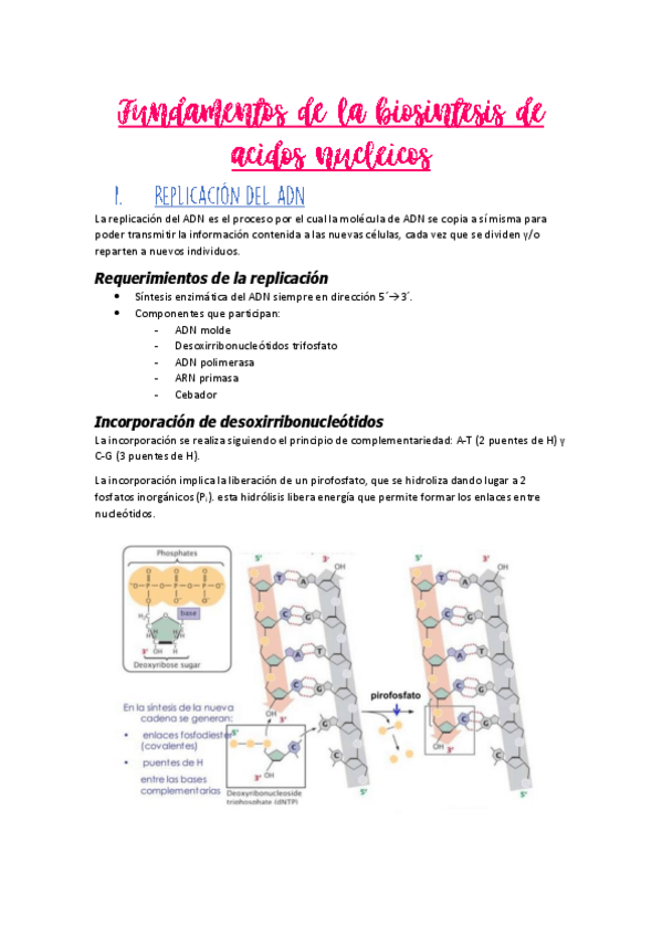 Miniatura del documento tema-13-resumen.pdf