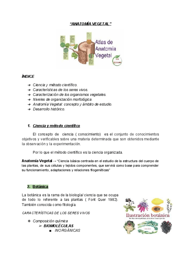 Miniatura del documento ANATOMAA-TEMA-1-.pdf