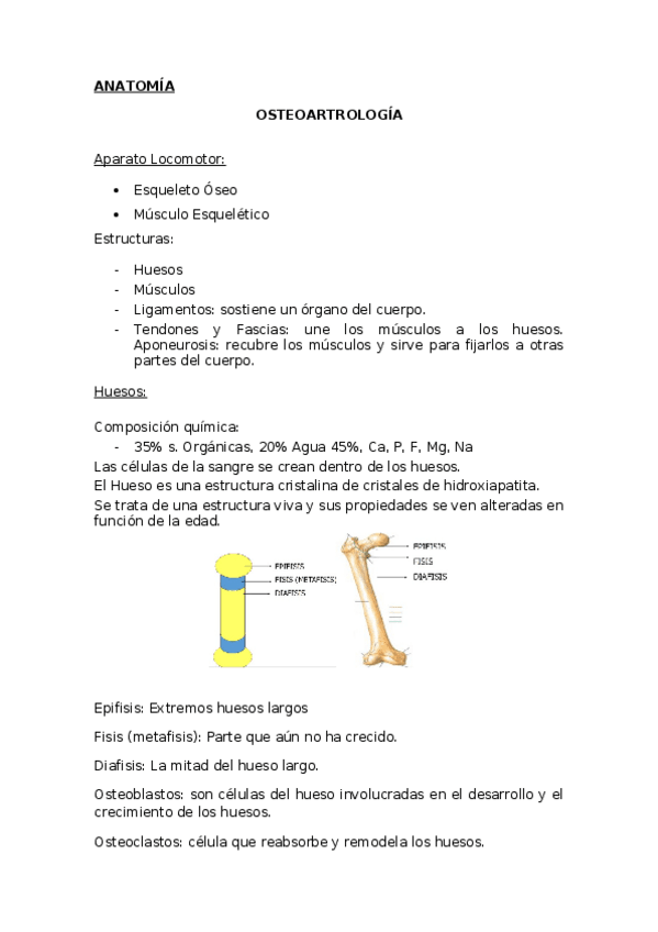 Miniatura del documento apuntes.docx