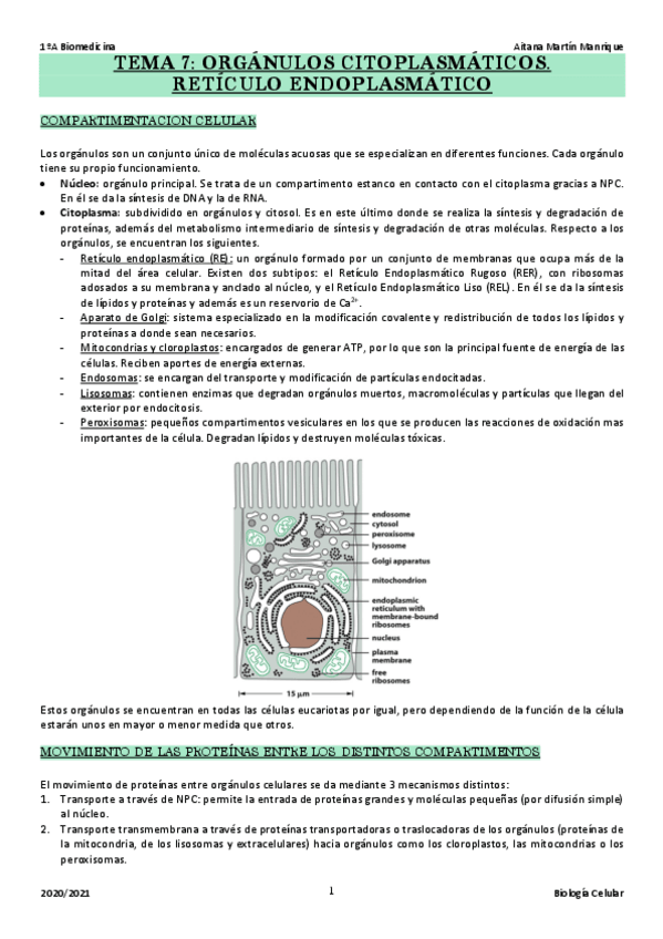 Miniatura del documento TEMA-7.pdf