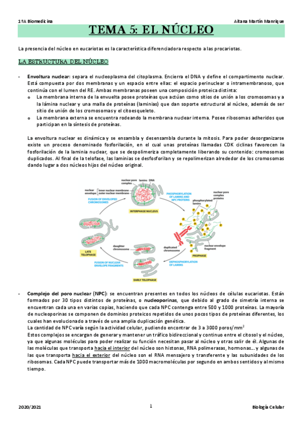 Miniatura del documento TEMA-5.pdf