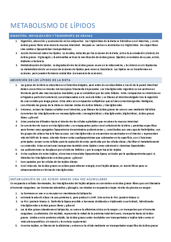 Miniatura del documento Metabolismo lípidos.pdf