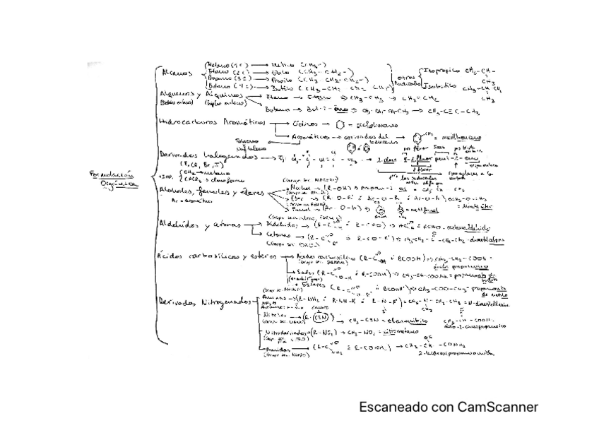 Miniatura del documento APUNTES-FORMULACION-ORGANICA-E-INORGANI.pdf