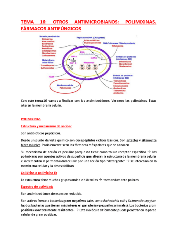 Miniatura del documento TEMA-16.pdf