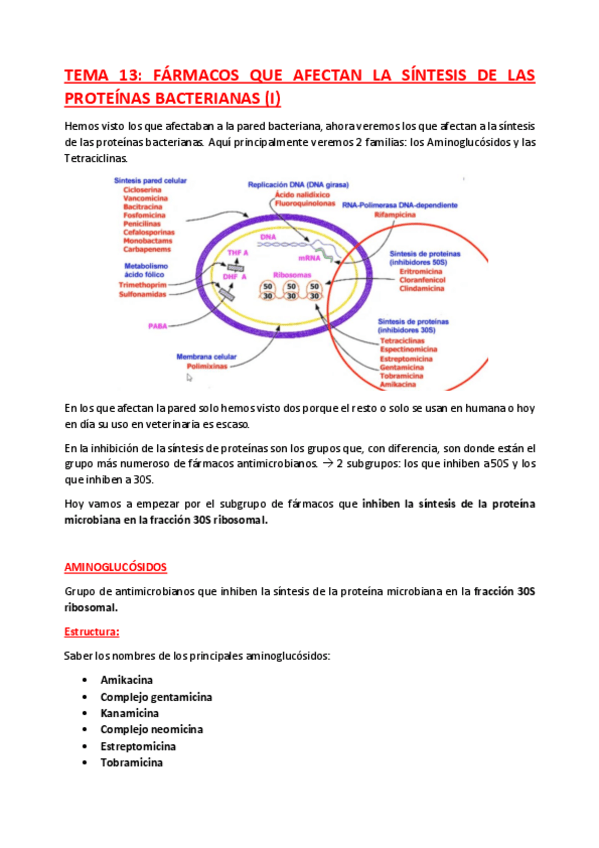 Miniatura del documento TEMA-13-14-y-15.pdf