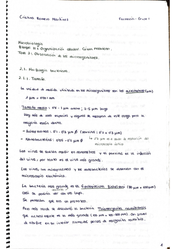 Miniatura del documento TEMA-2-OBS-DE-MICROORGANISMOS.pdf