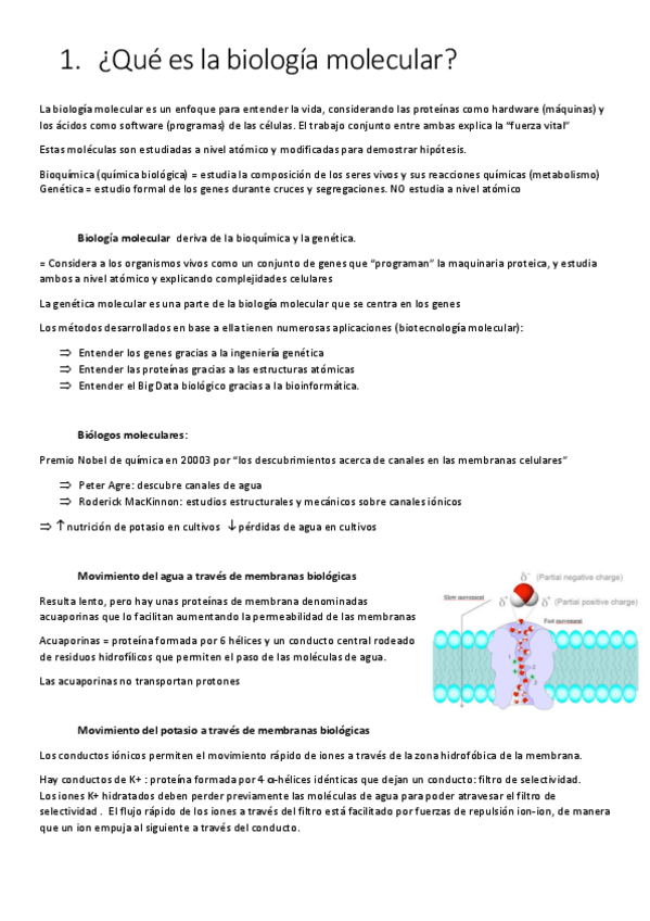 Miniatura del documento t-1.pdf
