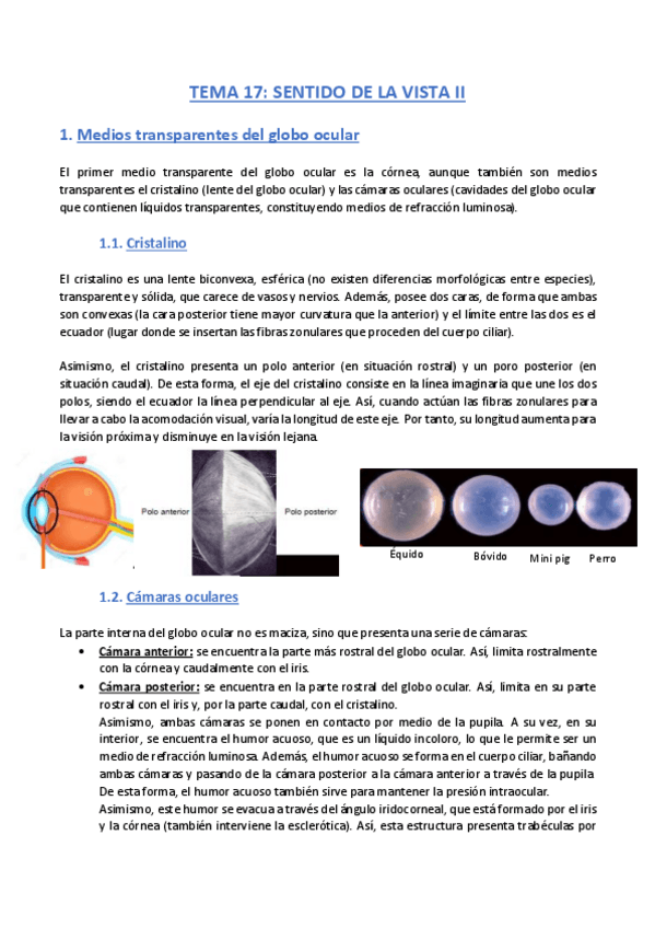 Miniatura del documento TEMA-17-Anatomia.pdf