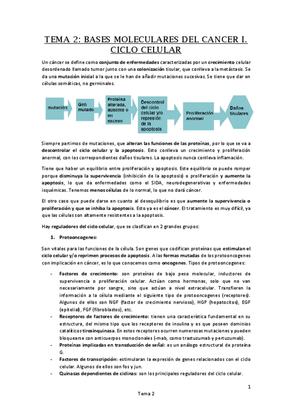 Miniatura del documento Tema 2. BASES MOLECULARES DEL CANCER I. CICLO CELULAR.pdf