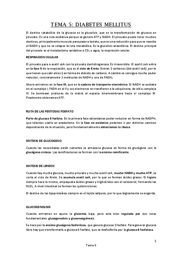 Miniatura del documento Tema 5. DIABETES MELLITUS.pdf