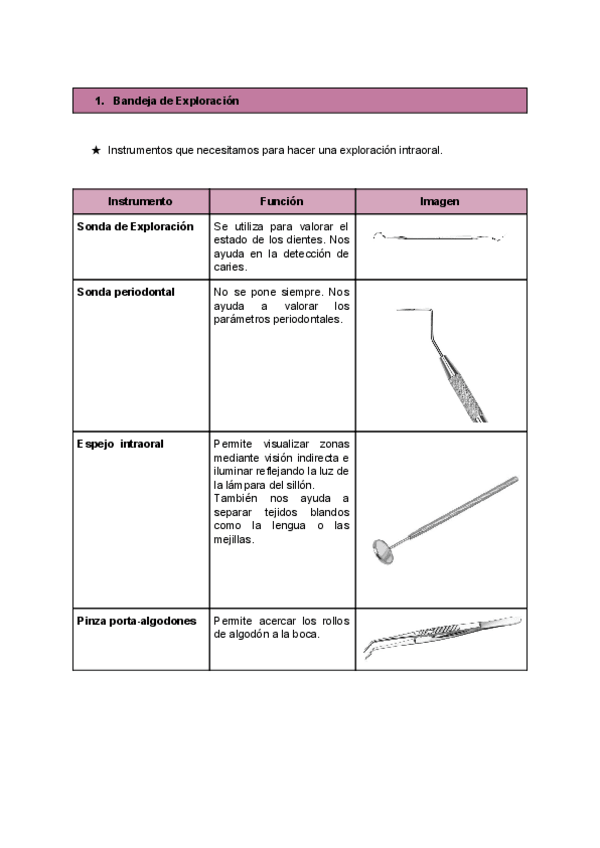 Miniatura del documento Bandejas-de-instrumental.pdf