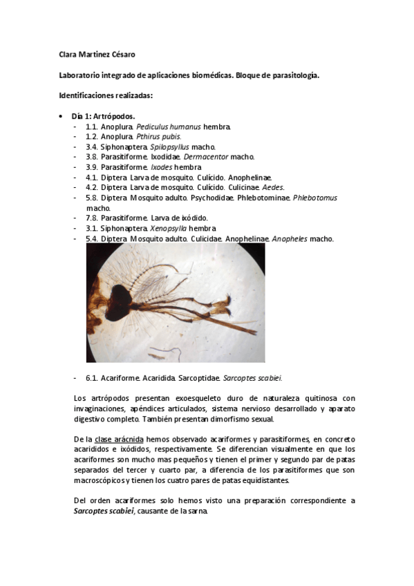 Miniatura del documento guia-parasitologia.pdf