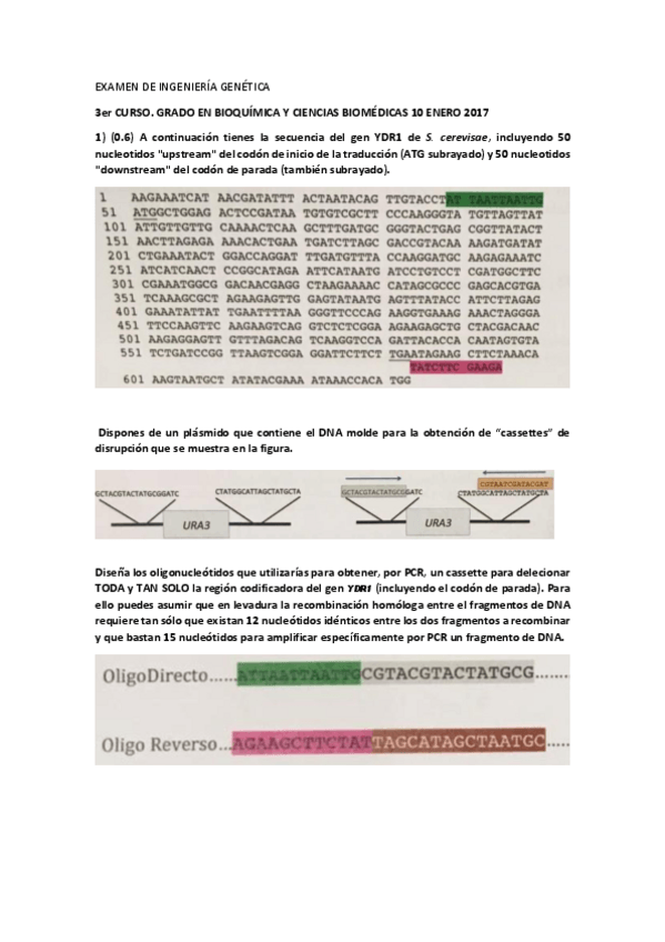 Miniatura del documento Ingenieria Enero 2017.pdf