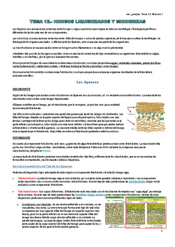 Miniatura del documento TEMA-12.pdf