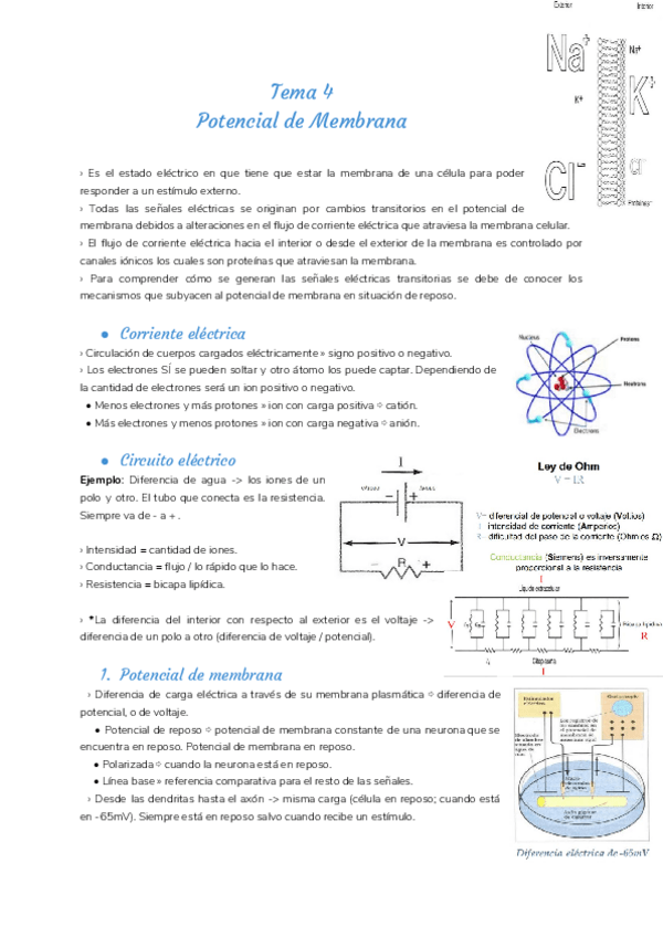 Miniatura del documento Tema-4.pdf