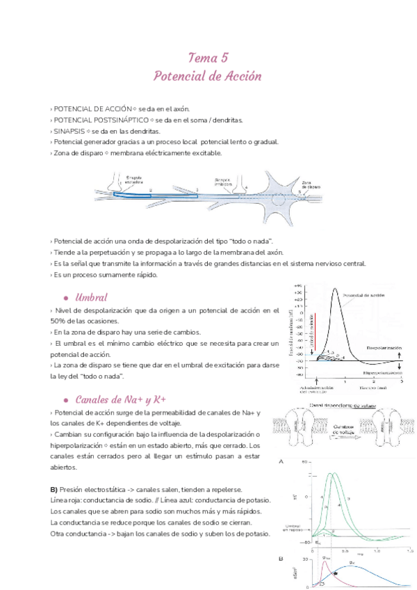 Miniatura del documento Tema-5.pdf