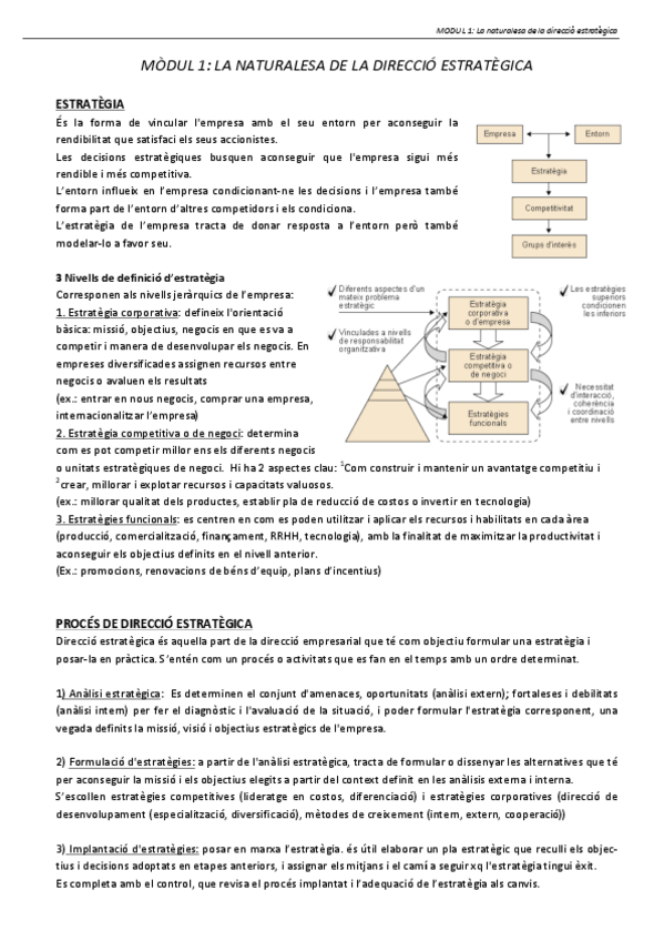 Miniatura del documento 1. La naturalesa de la direcció estratègica.pdf