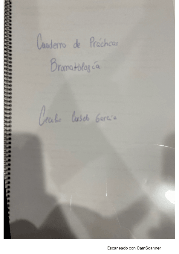 Miniatura del documento CamScanner-11-06-2020-14.pdf