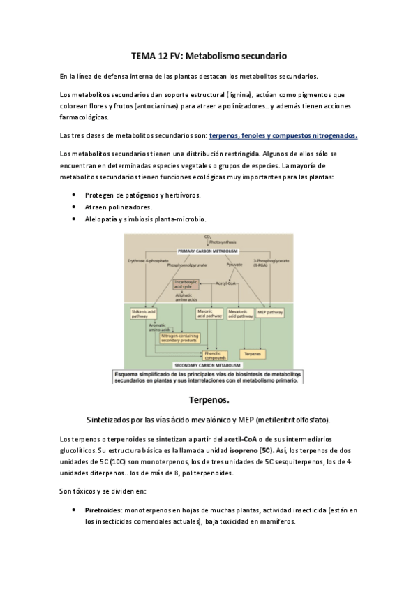 Miniatura del documento TEMA-12-FV.pdf