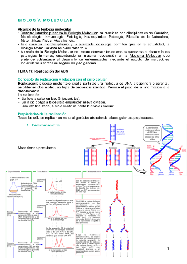 Miniatura del documento BQ-II-t17.pdf