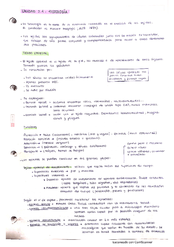 Miniatura del documento UNIDAD-2.pdf