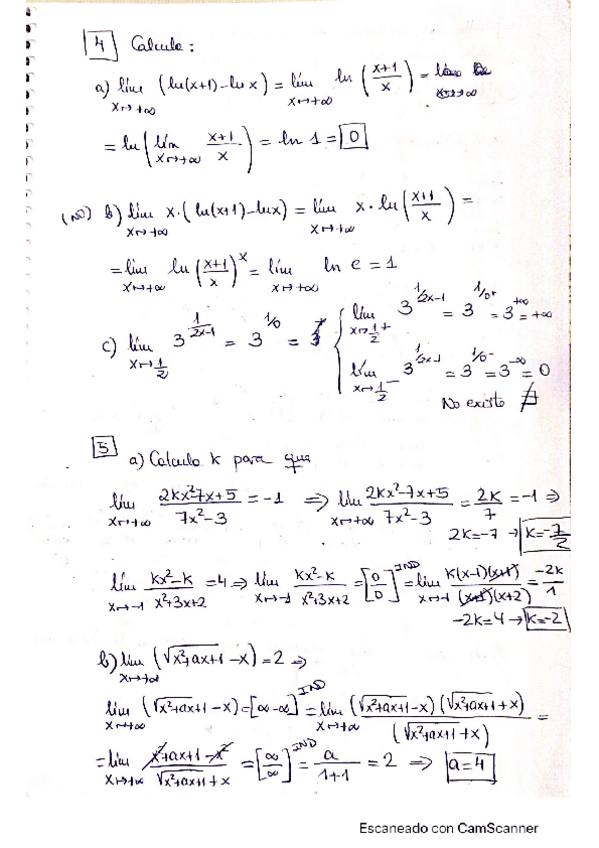 Miniatura del documento ejercicios-limitesasintotas.pdf