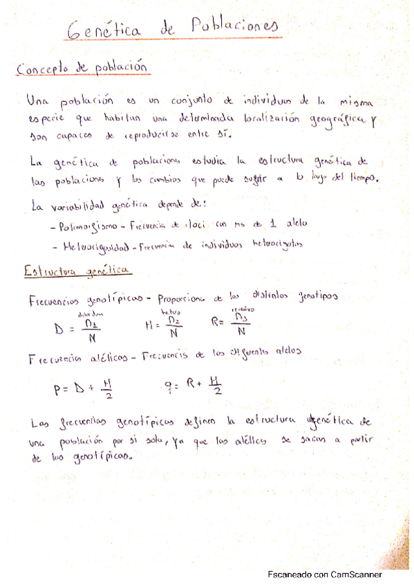 Miniatura del documento Resumen.pdf