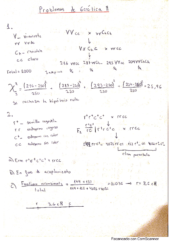 Miniatura del documento EjerciciosResueltos-T4.pdf