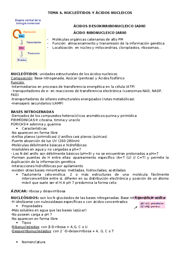 Miniatura del documento TEMA-6.docx