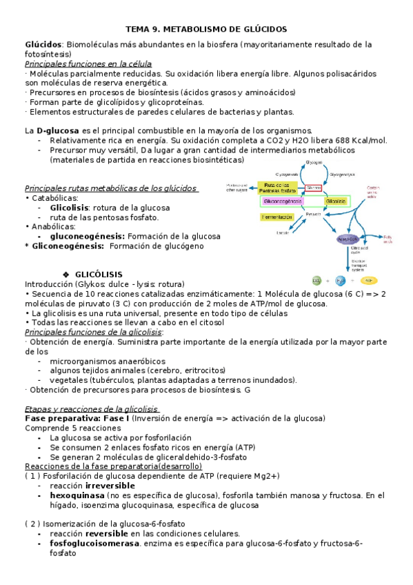 Miniatura del documento TEMA-9.docx