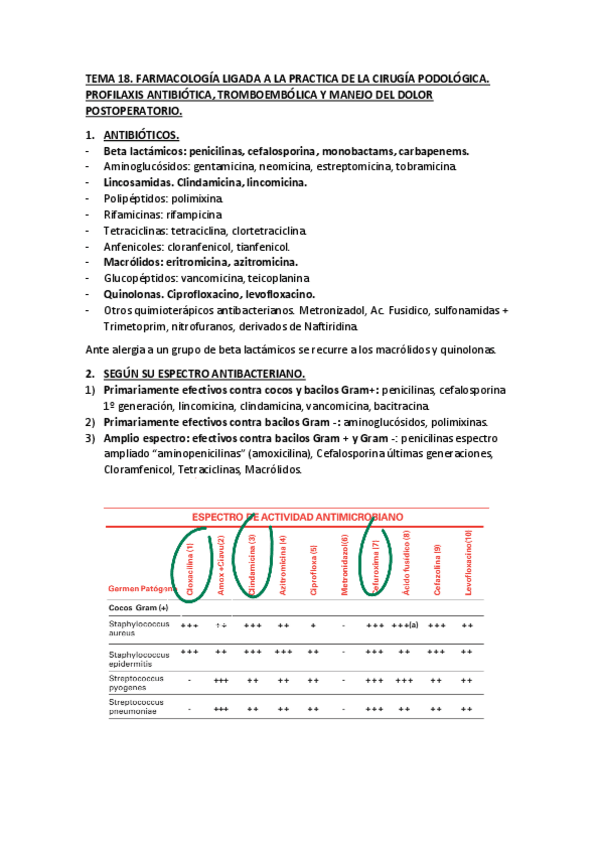 Miniatura del documento TEMA-18.pdf