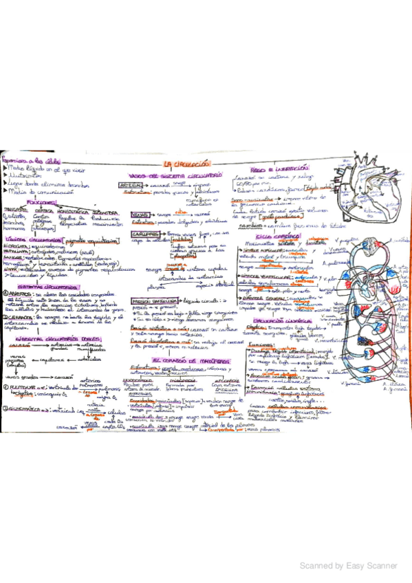 Miniatura del documento Doc-111.pdf