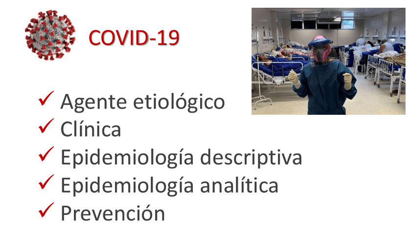 Miniatura del documento Test-COVID.pdf