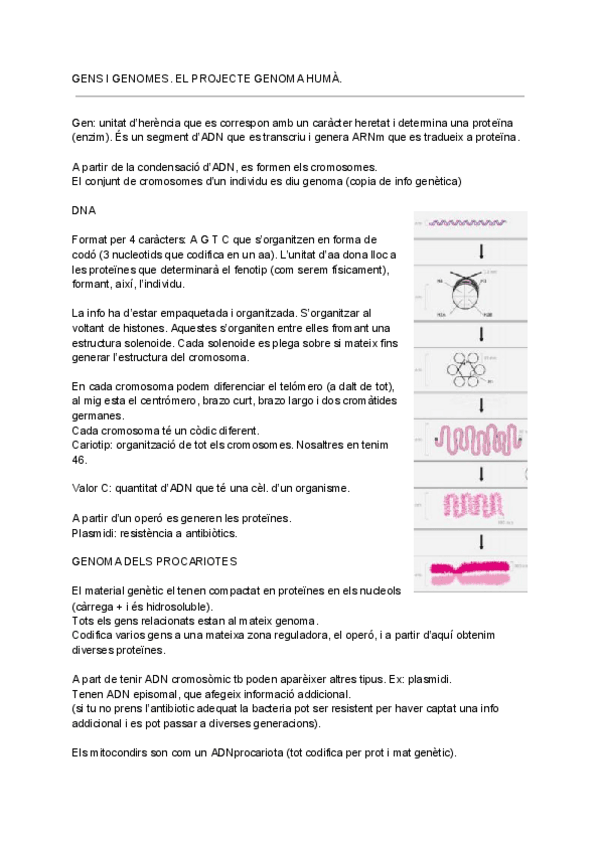 Miniatura del documento GENETICA-MOLECULAR.pdf