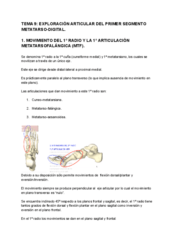 Miniatura del documento TEMA-9-EXPLORACION-ARTICULAR-DEL-1o-SEGMENTO-METATARSO-DIGITAL.pdf