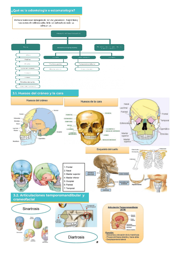 Miniatura del documento PDF-videoclases-en-16-pag.pdf