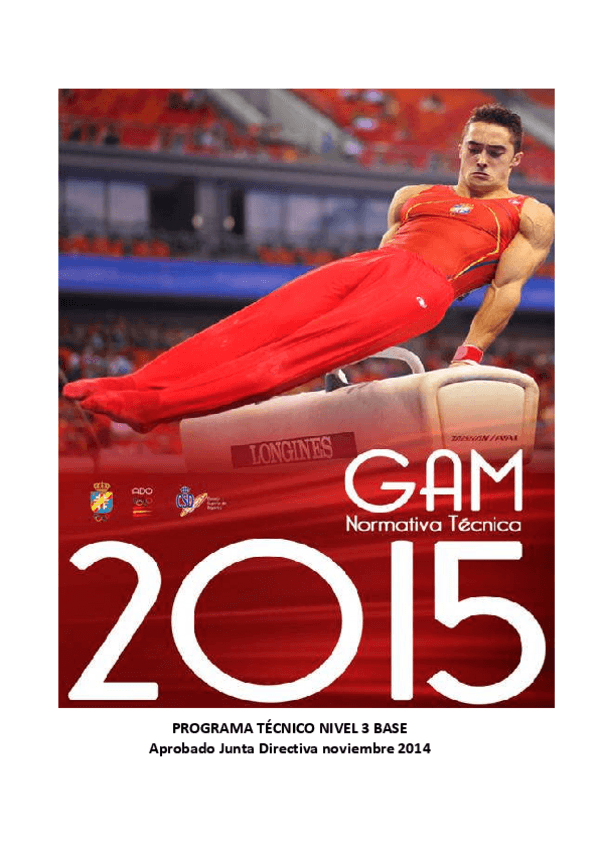 Miniatura del documento NIVEL-3.pdf