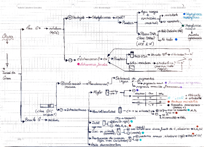 Miniatura del documento ESQUEMAS-MICRO-NCG.pdf